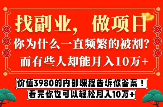 价值3980的网创内部课程，告诉你互联网创业月入10个W的秘密【揭秘】-淘朋友