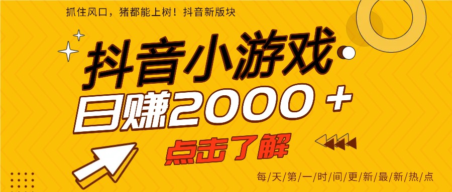 25年爆火的抖音小游戏项目，一部手机日入2000+-淘朋友