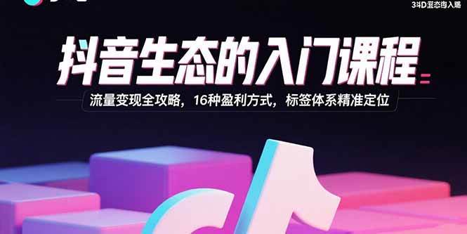 (15856期)抖音生态的入门课程:流量变现全攻略,16种盈利方式,标签体系精准定位-淘朋友