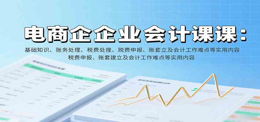电商企业会计课：基础知识、账务处理、税费申报、账套建立及会计工作难点等实用内容-淘朋友
