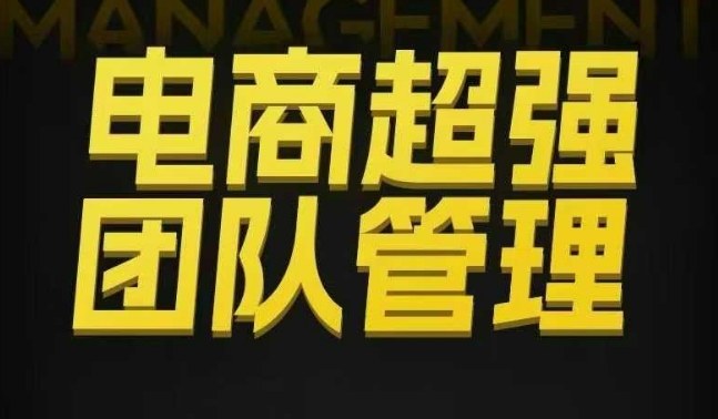 电商超强团队管理，组织绩效，到用人执行，分权合伙-淘朋友
