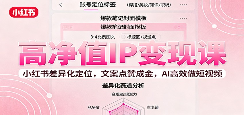 高净值IP变现课：小红书差异化定位，文案点赞成金， AI高效做短视频-淘朋友