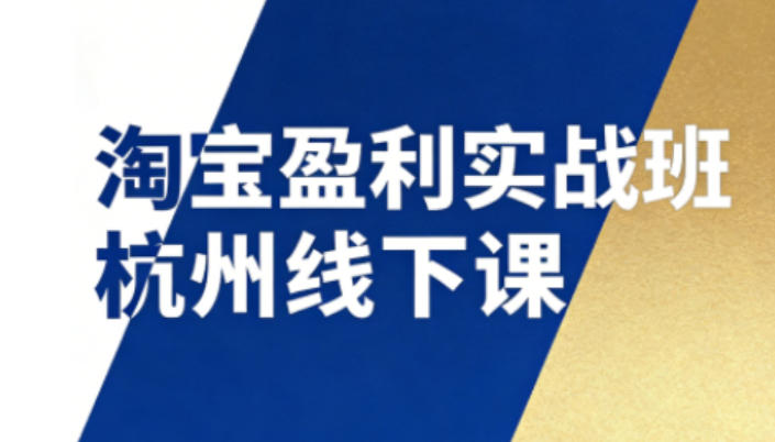 淘宝盈利实战班杭州线下课12月26-28日（音频+字幕），帮你掌握SOP流程+12门核心技术-淘朋友