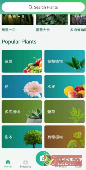 PictureThis 植物识别v5.15.0专业版-淘朋友