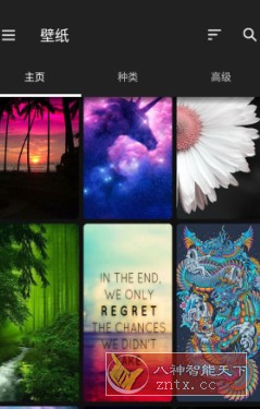 ZEDGE 铃声和壁纸v8.98.2高级版-淘朋友