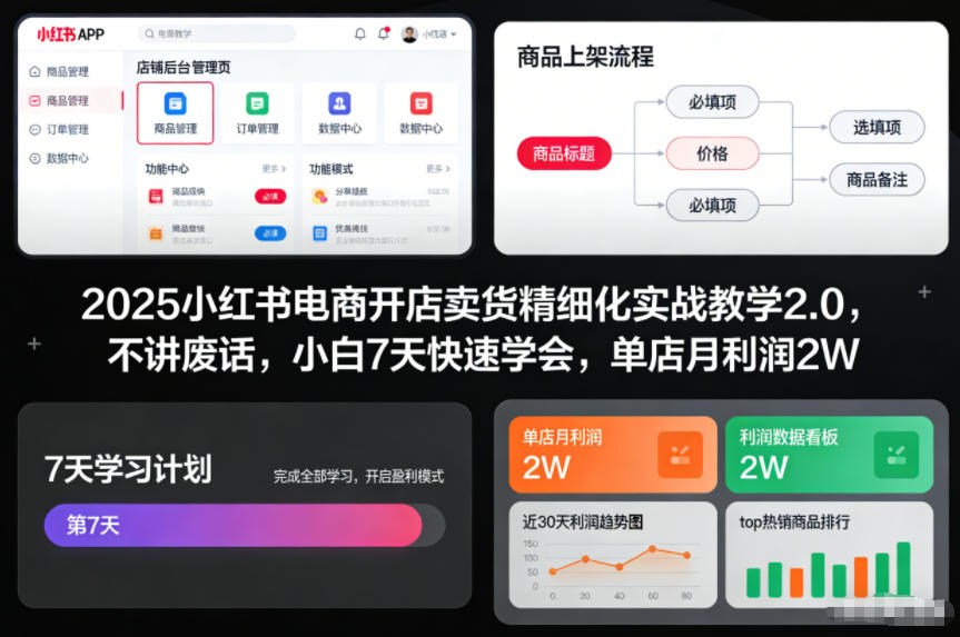 2025小红书电商开店卖货精细化实战教学2.0，不讲废话，小白7天快速学会，单店月利润2W-淘朋友