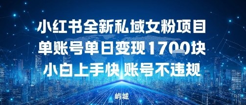 小红书全新私域女粉项目单账号单日变现多张，小白上手快账号不违规建议准备多账号操作-淘朋友