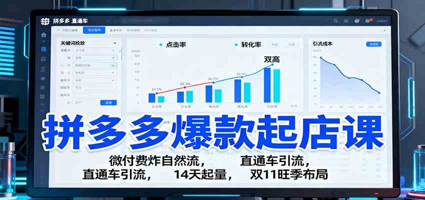 拼多多爆款起店课:微付费炸自然流,直通车引流,14天起量,双11旺季布局-淘朋友