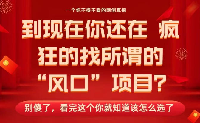 马上26年了,你还在找所谓的风口项目?别傻了,看完这个你全都懂了!【揭秘】 马上26年了,你还在找所谓的风口项目?别傻了,看完这个你全都懂了!【揭秘】