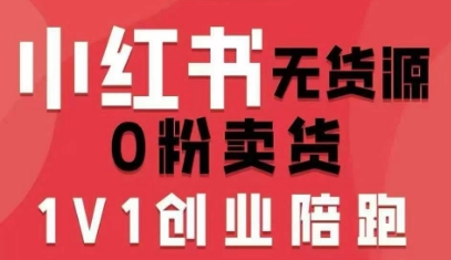 小红书无货源0粉电商课，开店准备、选品策略、笔记撰写、视频剪辑、数据分析、账号打造、资料文档（更新26年1月）-淘朋友