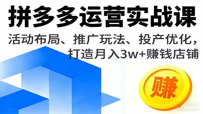 （16135期）拼多多运营实战课，活动布局、推广玩法、投产优化，打造月入3w+赚钱店铺-淘朋友