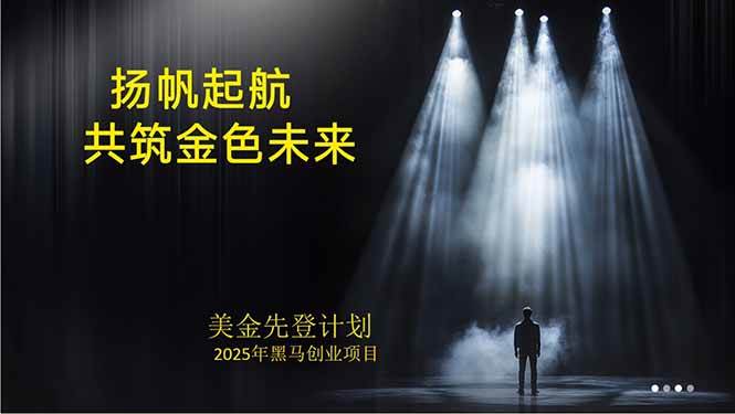 （15748期）美金对冲创业项目，日收益1000-3000，小众暴力项目稳定运行8年-淘朋友