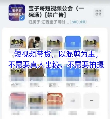 宝子哥头部团队短视频带货，以混剪为主，不需要真人出镜，不需要拍摄【更新26年1月】-淘朋友