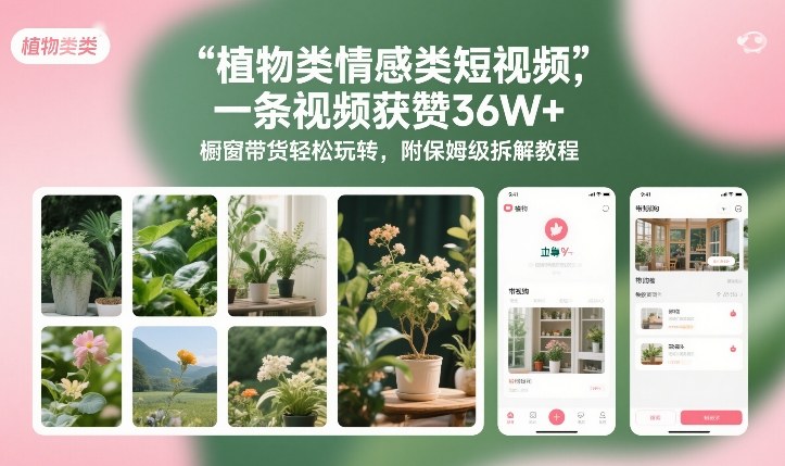 植物类情感类短视频,一条视频获赞36W+,橱窗带货轻松玩转,附保姆级拆解教程-淘朋友