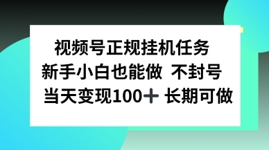 视频号正规挂播任务,有手就行不违规,轻松日入1张-淘朋友