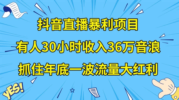 抖音直播暴利项目，有人 30 小时收入 36 万音浪，公司宣传片年会视频制作，抓住年底一波流量大红利-淘朋友