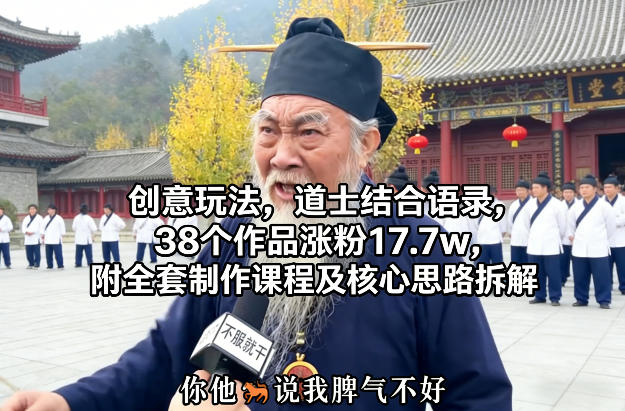 创意玩法，道士结合语录，38个作品涨粉17.7w，附全套制作课程及核心思路拆解-淘朋友