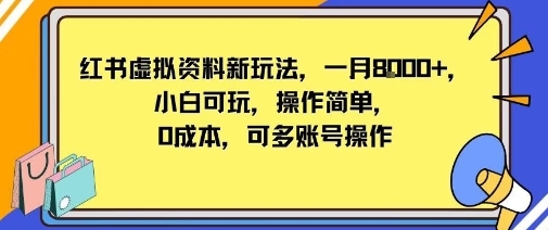 小红书虚拟资料新玩法，一月8k+小白可玩，操作简单-淘朋友