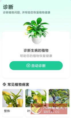 Plant Parent 植物养护v1.102高级版-淘朋友