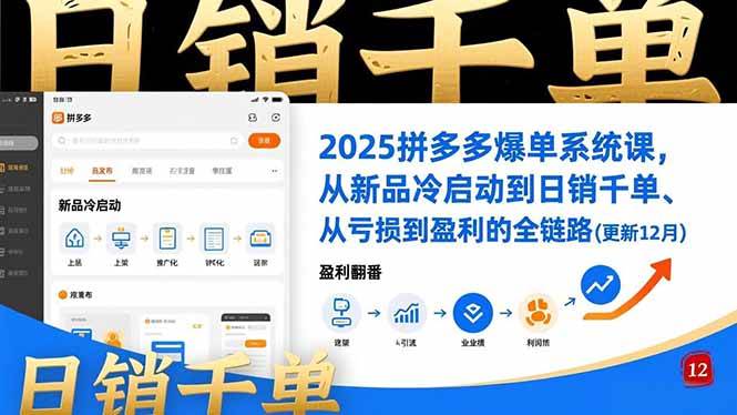 (16894期)2025拼多多爆单系统课,从新品冷启动到日销千单、从亏损到盈利的全链路(更新12月)-淘朋友