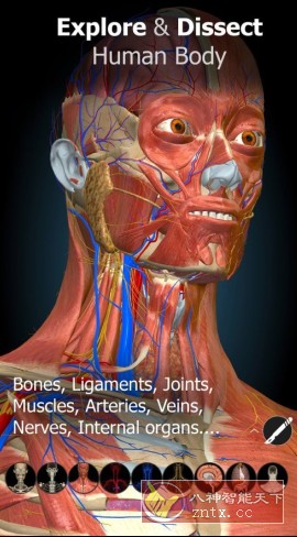 Anatomy Learning 3D解剖学v3.1.499高级版-淘朋友