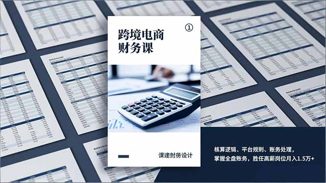 跨境电商财务课，核算逻辑、平台规则、账务处理，掌握全盘账务，胜任高薪岗位月入1.5万+-淘朋友
