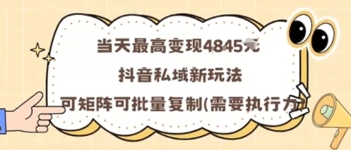 当天最高变现1k+,抖音私域新玩法,可矩阵可批量复制-淘朋友