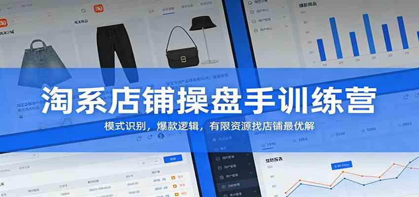 淘系店铺操盘手训练营：模式识别，爆款逻辑，有限资源找店铺最优解-淘朋友