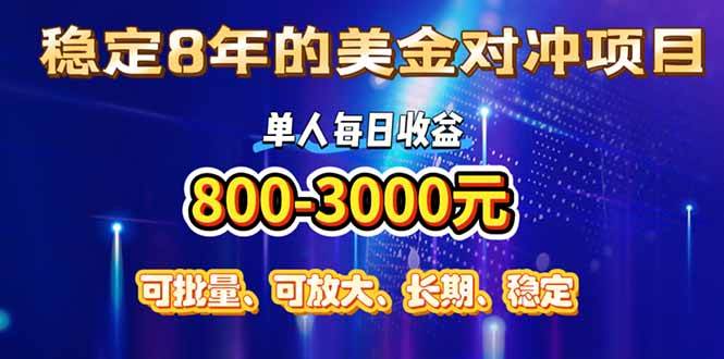 （15782期）稳定8年的美金对冲创业项目，单人每日收益800-3000，小众暴力项目-淘朋友