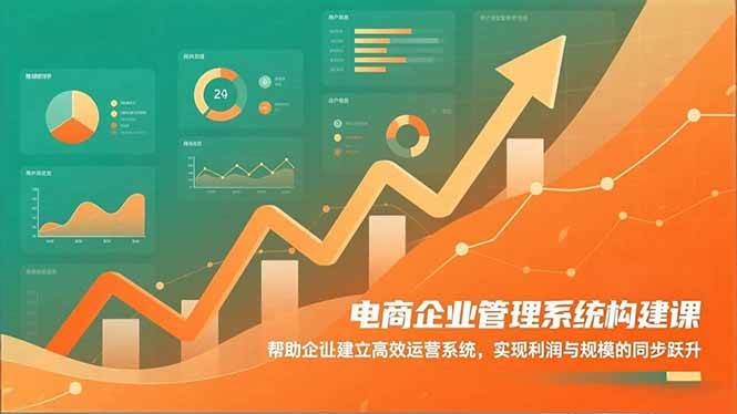 （16643期）电商企业管理系统构建课：帮助企业建立高效运营系统，实现利润与规模的同步跃升-淘朋友