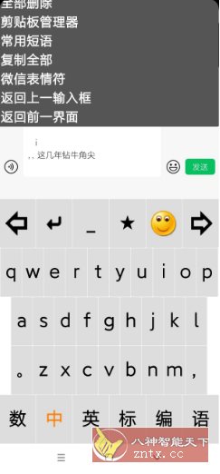 点明输入法v3.0.0729 --专为视障朋友打造的盲用输入法-淘朋友