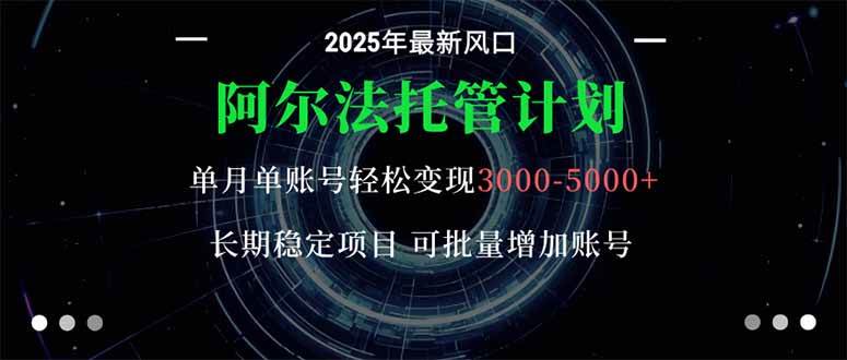 （16360期）阿尔法托管计划 单账号月入3000-5000，长期稳定项目，新手小白轻松上手。-淘朋友