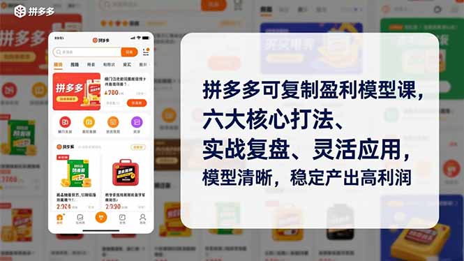 拼多多可复制盈利模型课，六大核心打法、实战复盘、灵活应用，模型清晰，稳定产出高利润-淘朋友