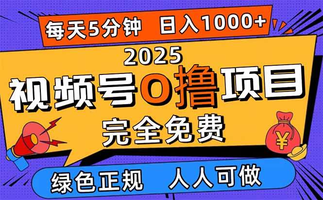 (16388期)2025视频号0撸项目,5分钟一个号,日入1000+,人人可做-淘朋友