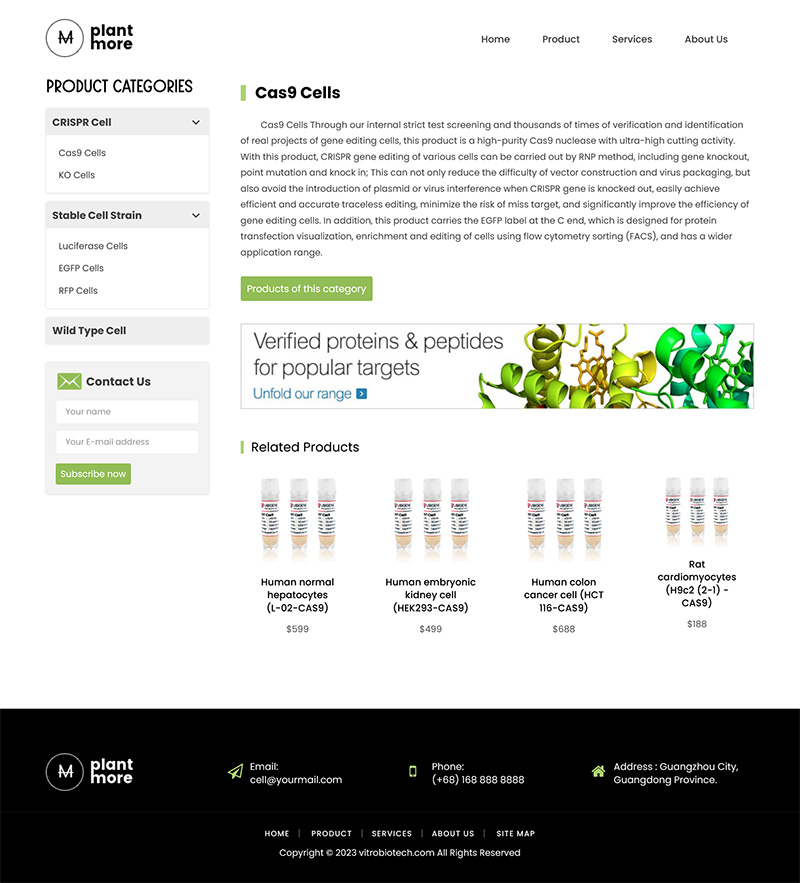 图片[2]-双语外贸生物细胞科技网站模板-淘朋友