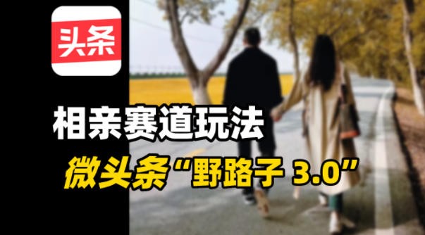 微头条“野路子3.0”相亲赛道玩法,搬砖式操作单号稳定3张-淘朋友