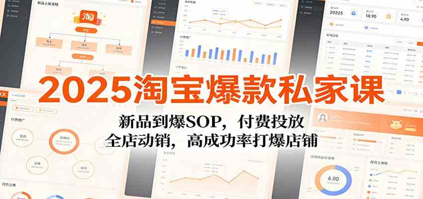 2025淘宝爆款私家课：新品到爆SOP，付费投放，全店动销，高成功率打爆店铺-淘朋友