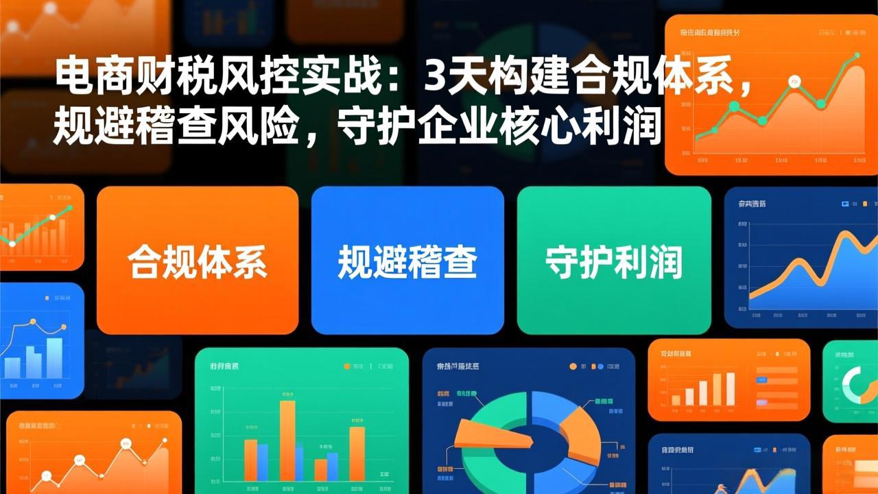 电商财税风控实战:3天构建合规体系,规避稽查风险,守护企业核心利润-淘朋友