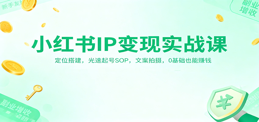 小红书IP变现实战课：定位搭建，光速起号SOP，文案拍摄，0基础也能赚钱-淘朋友