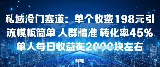 私域冷门赛道：单个收费198米引流模板简单人群精准转化率45%单人每日收益在1k+-淘朋友