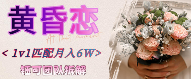 副业拆解：黄昏恋1对1匹配月入6个，潜力巨大-淘朋友