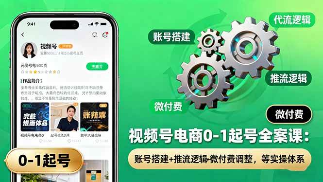 （16262期）视频号电商0-1起号全案课：账号搭建+推流逻辑+微付费调整，等实操体系-淘朋友