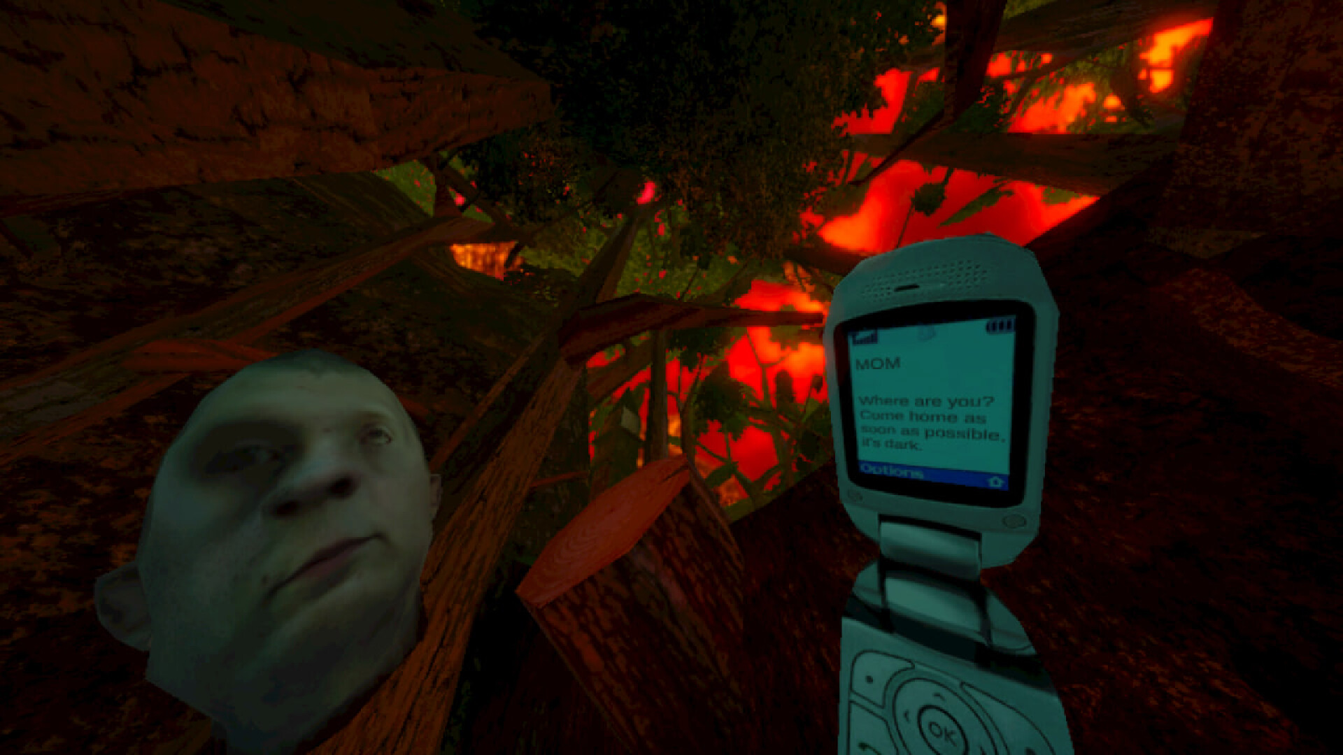 暴煞狂想2/Violent Horror Stories-淘朋友