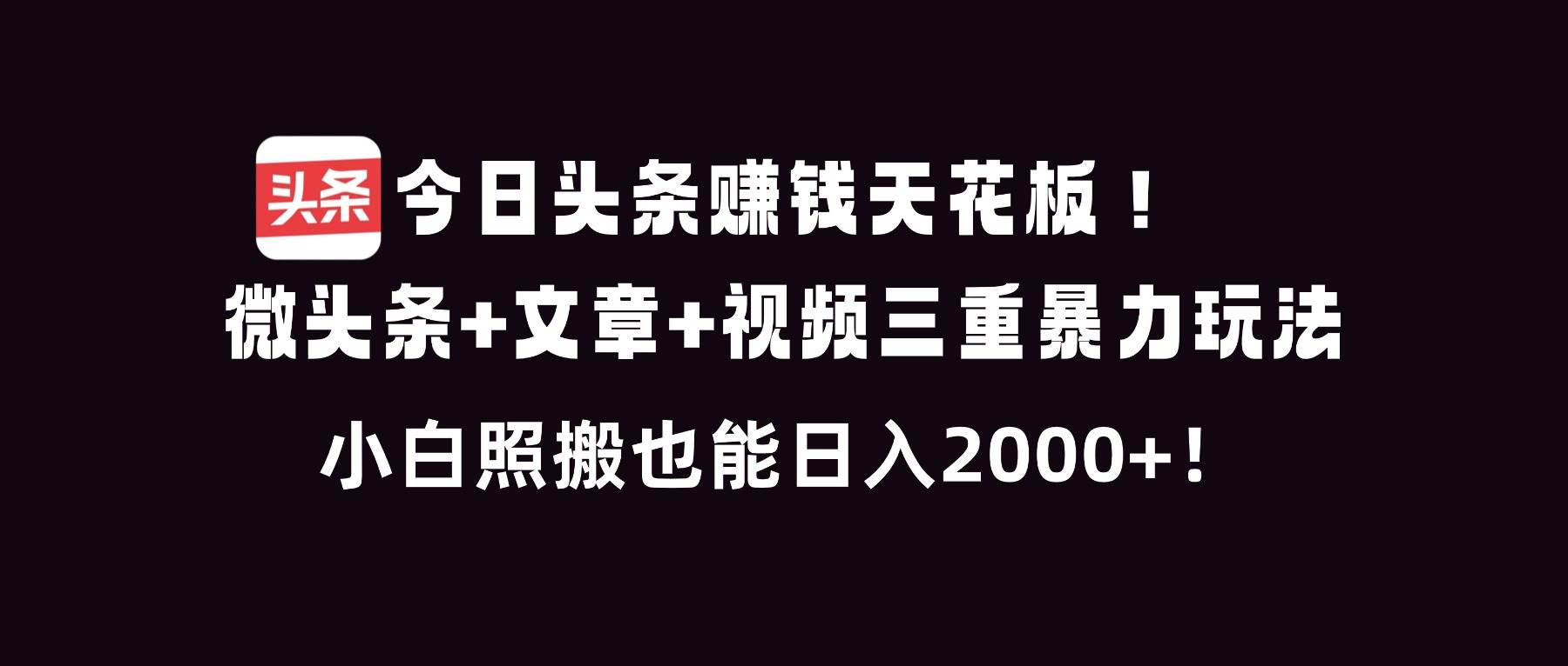 (16888期)今日头条赚钱天花板!微头条+文章+视频三重暴利玩法,小白照搬也能日人2000+-淘朋友