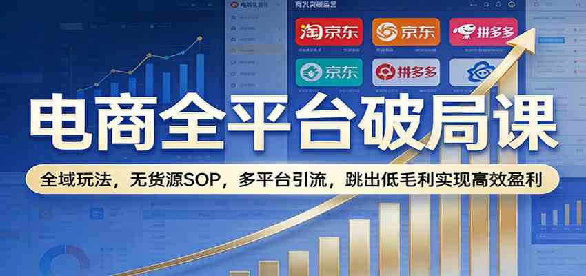电商全平台破局课：全域玩法，无货源SOP，多平台引流，跳出低毛利实现高效盈利-淘朋友