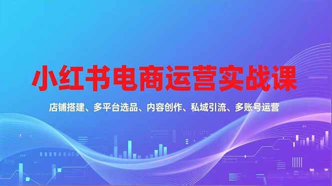 （16695期）小红书电商运营实战课，店铺搭建、多平台选品、内容创作、私域引流、多账号运营等玩法-淘朋友