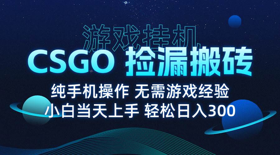 （15820期）8月最新游戏搬砖，CSGO纯挂机，不需要玩游戏，实现真挂机，月入1W+-淘朋友