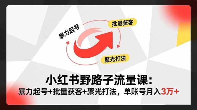 （16513期）小红书野路子流量课：暴力起号+批量获客+聚光打法，单账号月入3万+-淘朋友