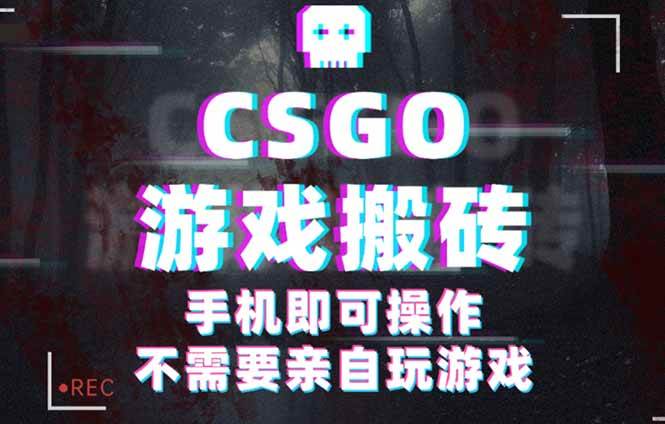 （16090期）CSGO游戏挂机捡漏，单日扫货500+，年底小高峰上车可吃肉，手机即可操作…-淘朋友